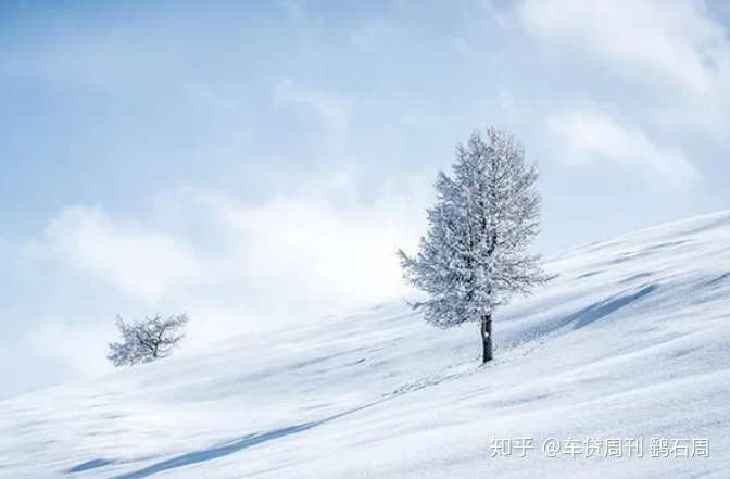 車貸週刊鷂石周 汽車金融公眾號 2002年的第一場雪, 比以往來得更早