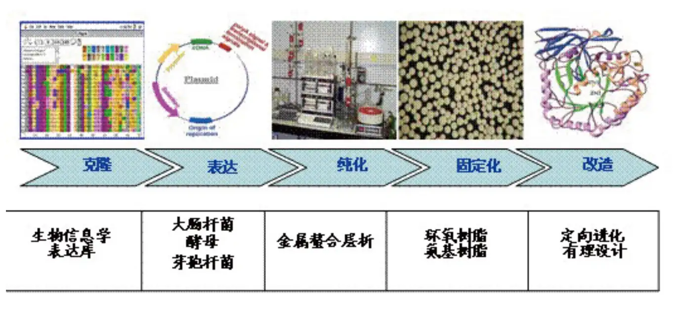 高效微生物筛选技术——引领工业育种和生物能源新时代- 知乎