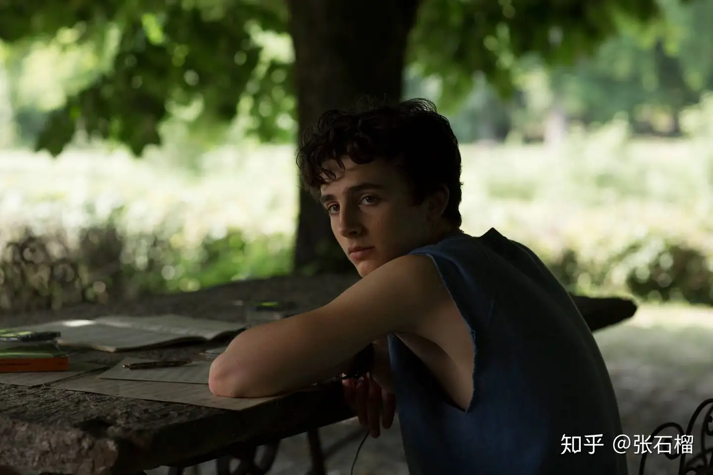 Call Me By Your Name', ensaio sobre a felicidade — Steemit