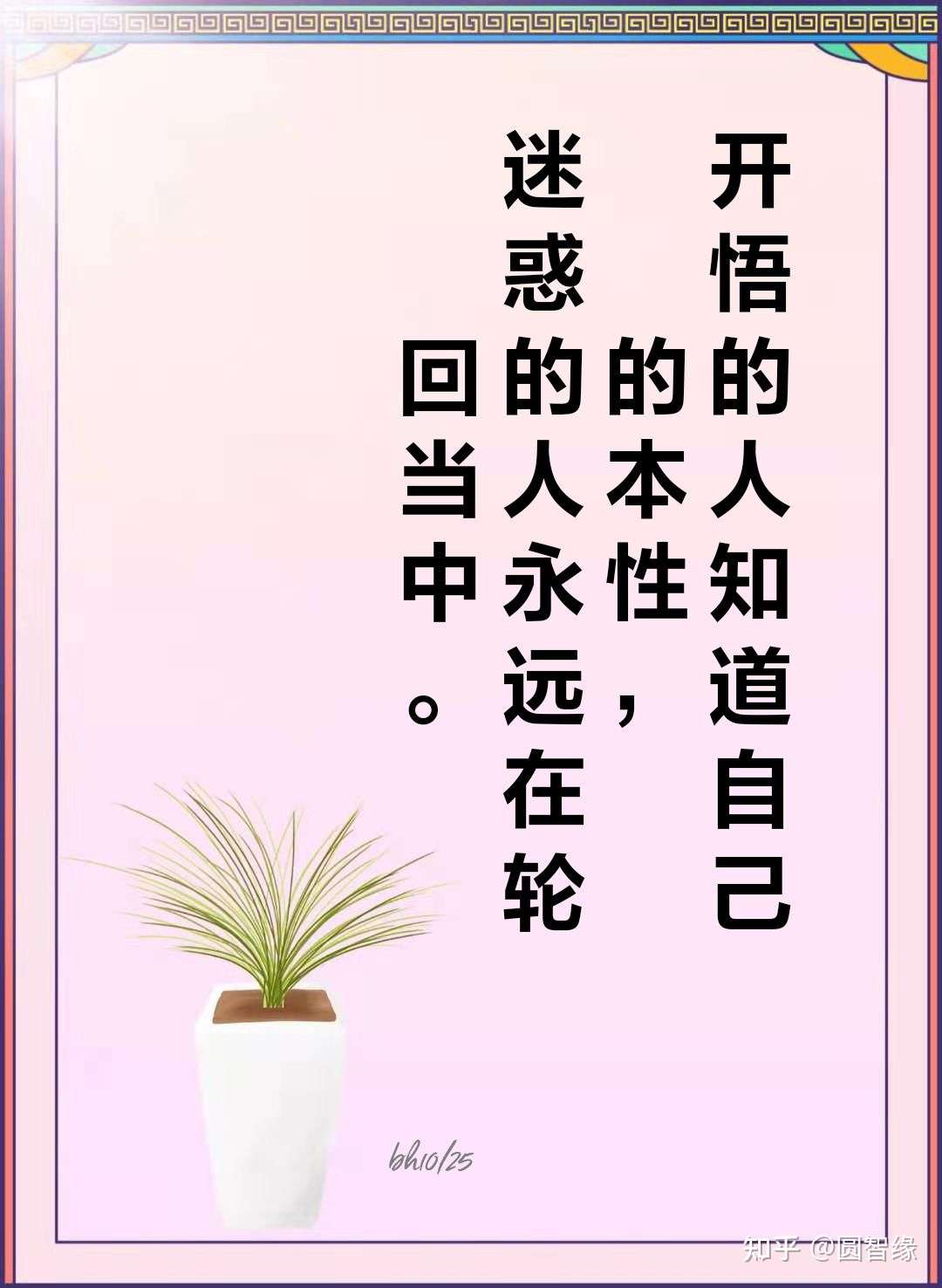 智慧好文 堂妹的癌症 知乎