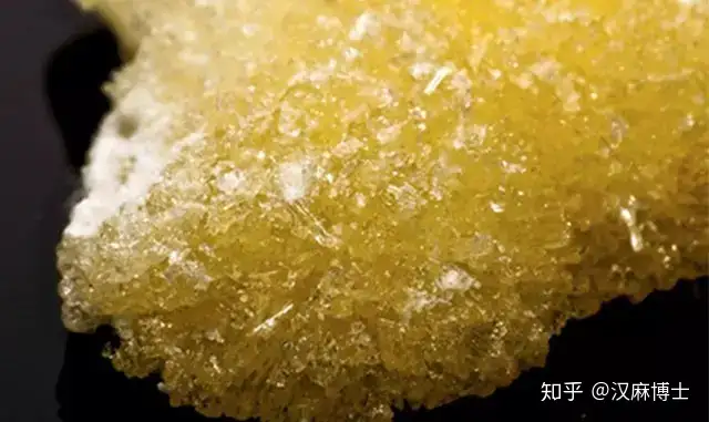 必看!史上最全CBD资讯集合!!收藏!!! - 知乎