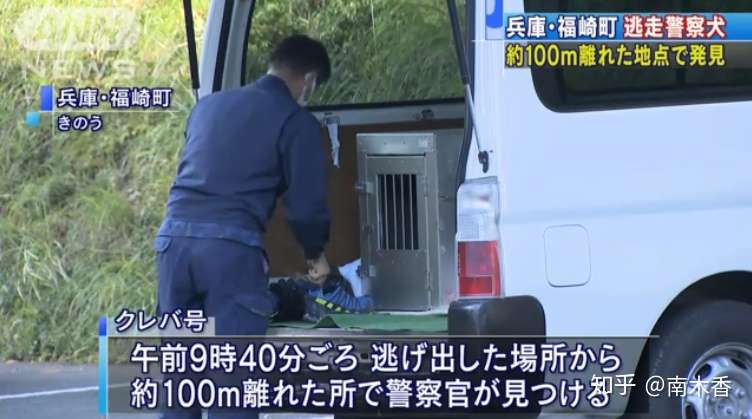 日本一条警犬搜索失踪者时逃跑 自己成了失踪狗 但乡民们坚决维护狗子 知乎 日本一条警犬搜索失踪者时逃跑 自己成了失踪狗 但乡民们坚决维护狗子 知乎