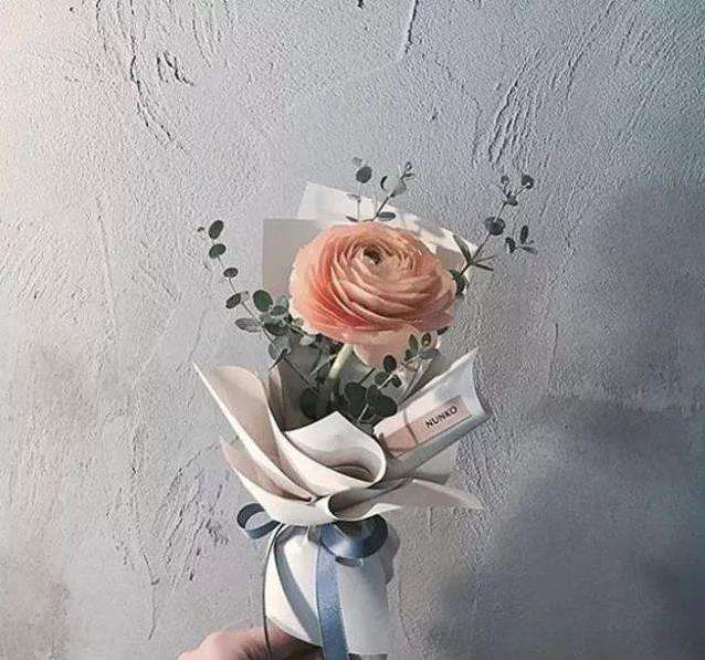 牡丹 月季 玫瑰 天呐 你连这个都不认识 知乎