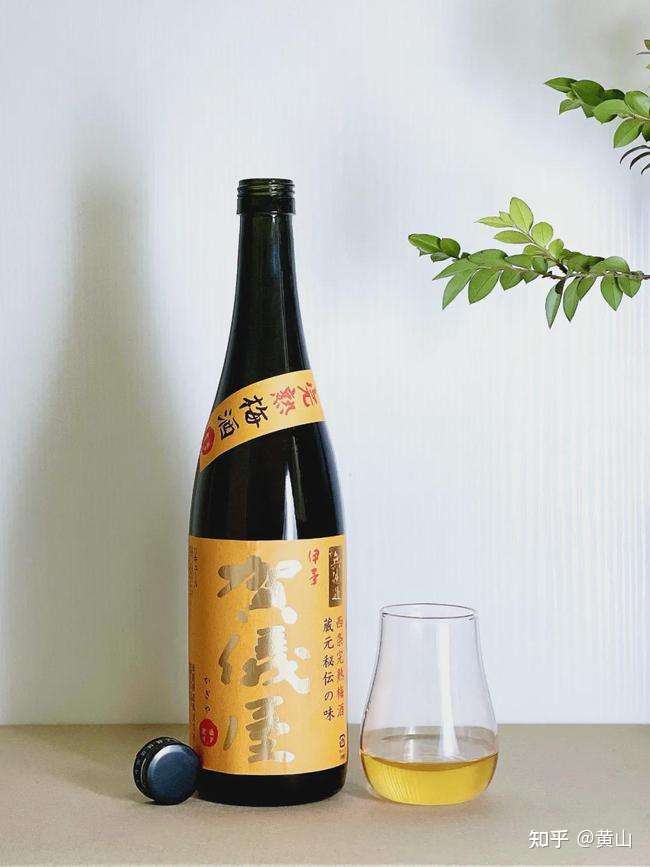 来之不易的手工完熟梅酒 一年只做1500瓶 知乎