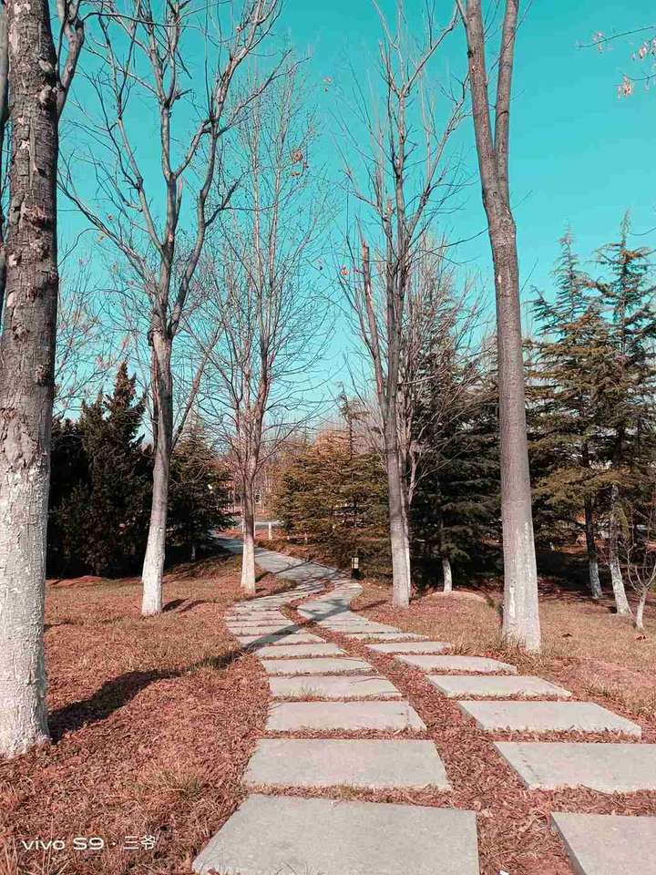 水桶无短板,这样的vivo S9你可满意?