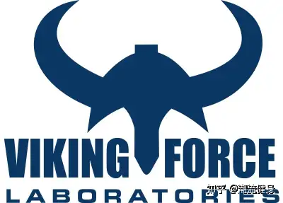 为爱变成最好的自己北欧海盗