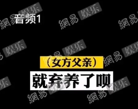 郑爽录音再爆出,称「把孩子送人是好事,让张恒出钱是想打消他要孩子的