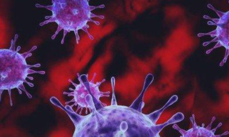 日本发现能传染人类新病毒，Yezo病毒是什么？