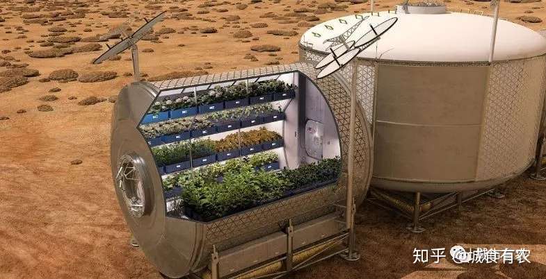 火星上割韭菜 种土豆 火星农业是否还为时尚早 知乎
