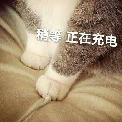 你用过的最沙雕的表情包是什么?