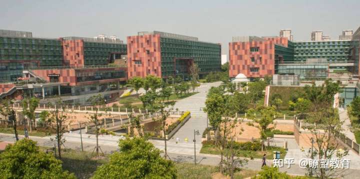 香港中文大学深圳校区一文读懂火热的4+0项目，高考生要不要选择呢？