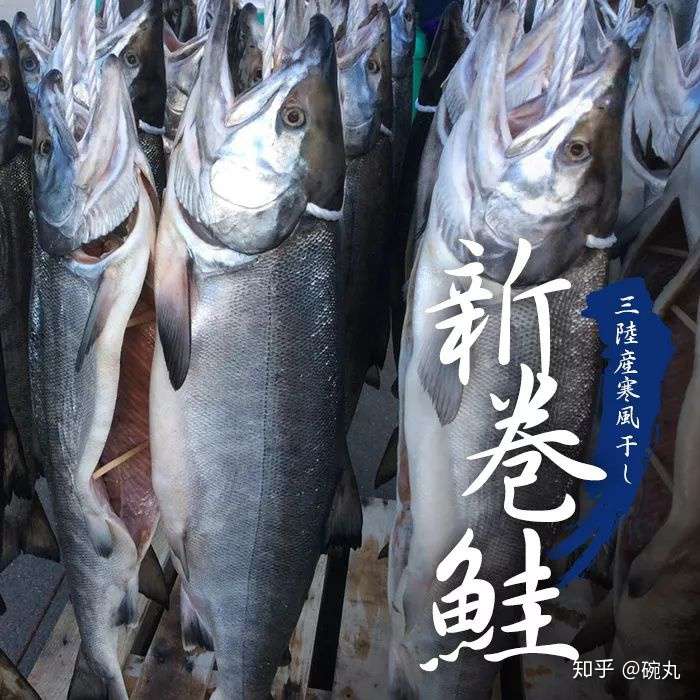 白鲑 你知道吗 双十一其实是属于鲑鱼的节日 知乎