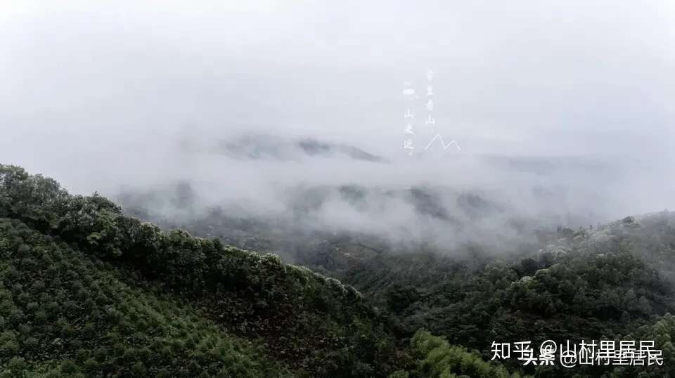 惠州 花开乡院 越过山丘到山谷里乡院静 氧 两三天 知乎