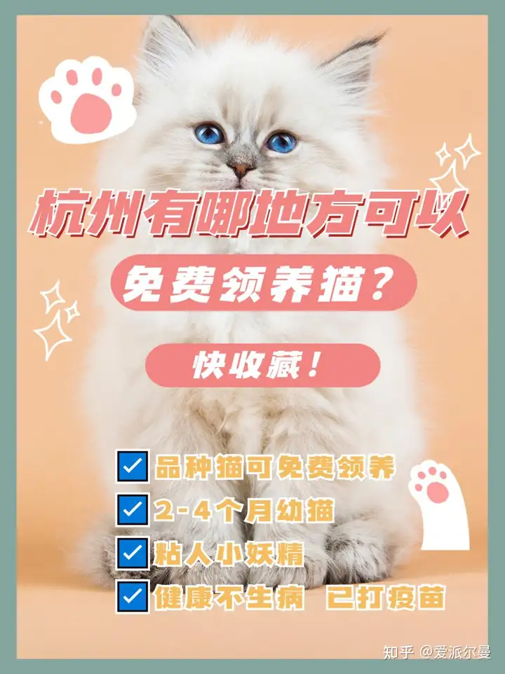 分享靠谱的免费领养猫渠道，你知道这家吗？