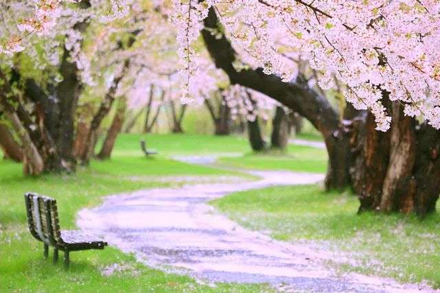 你会遇见谁，早就命中注定了