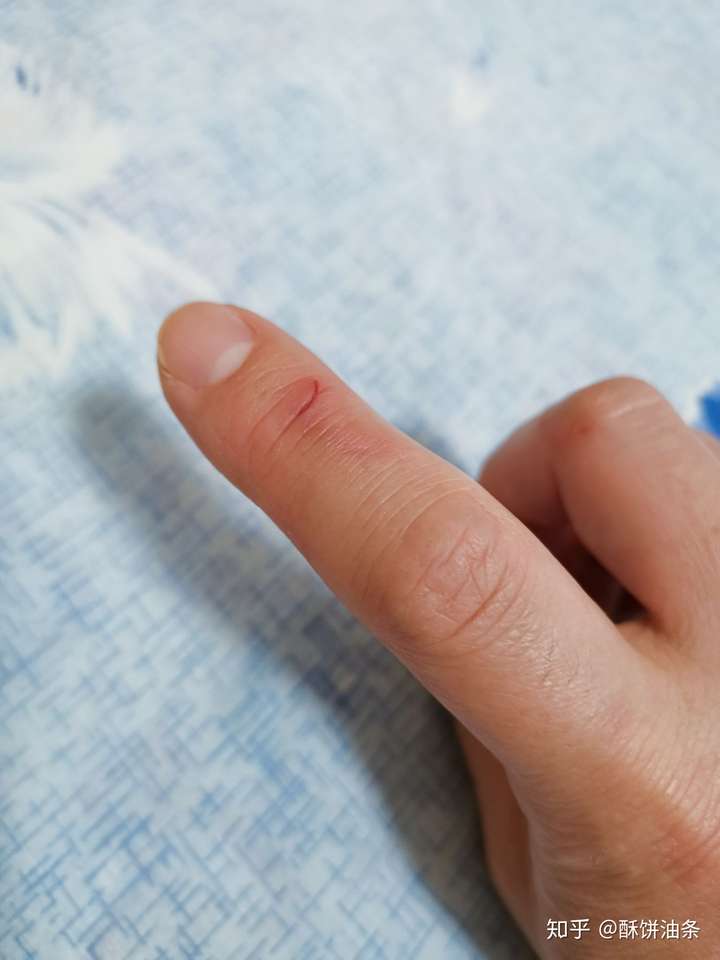 兔子的气性有多大?