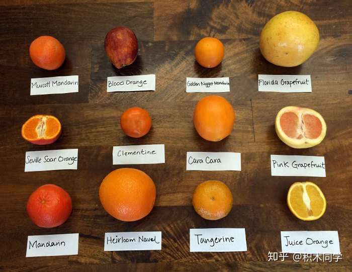 mandarintangerineclementinetemple这几种橘子有什么具体区别