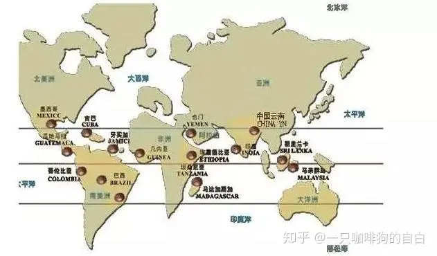 世界咖啡地图“详细解读第一篇上- 知乎