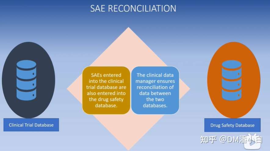 临床数据管理 Study Conduct Activities In Clinical Data Management 中英字幕 知乎