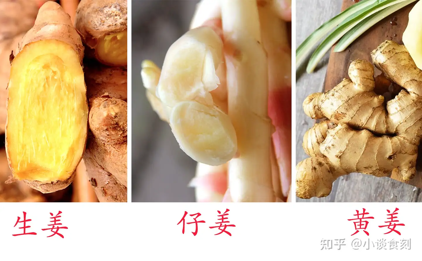 三伏吃姜 注意区分生姜 黄姜 子姜 差别很大 吃的时候要重视 知乎