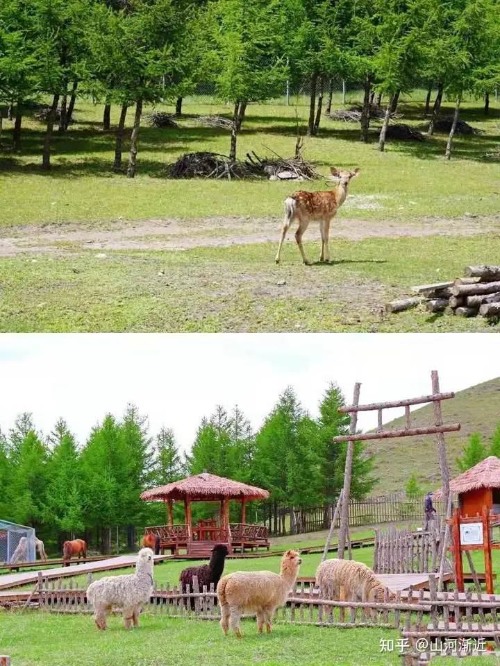 天津公司团建旅行丨坝上草原+张北草原丨云上天路越野丨七彩漂流丨真人cs丨篝火晚会丨周末2天就够了