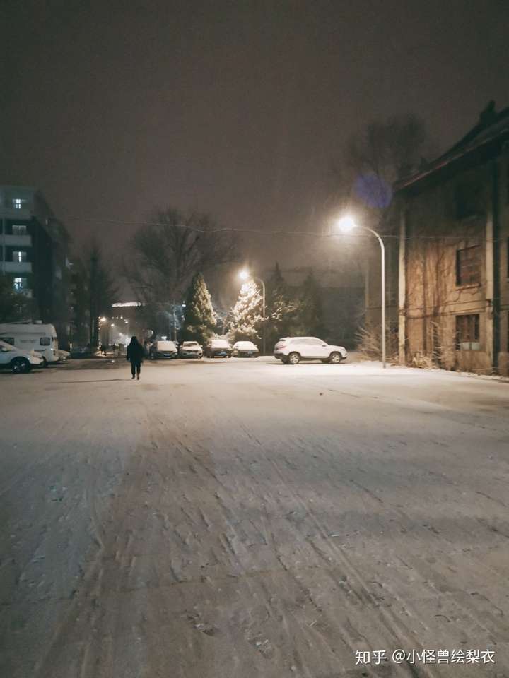 19年去了北京上學,十二月初就看到了雪,走回宿舍的路上又想起了十年前