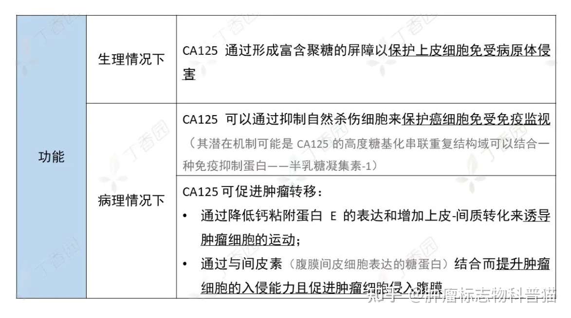 肿瘤标志物科普系列 Ca125升高原因分析 知乎