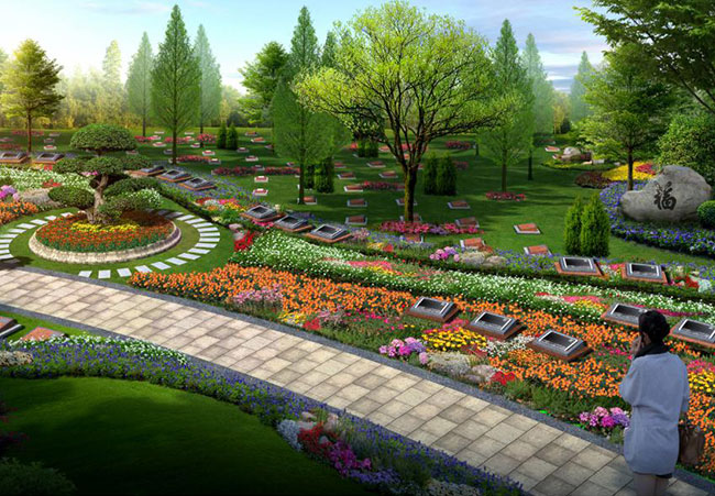 和传统安葬相比,你会选择树葬吗?