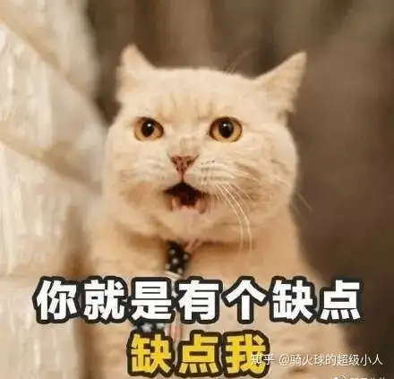 520文案100句---999