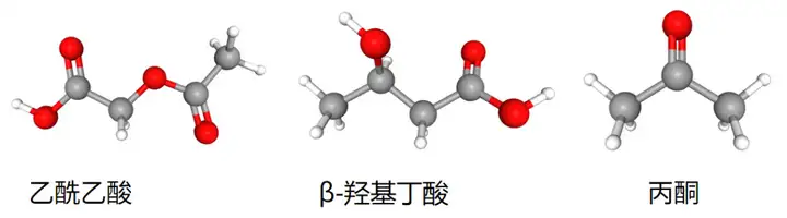 《Nature及子刊通过多组学揭秘生酮饮食抗癌和减肥机制》