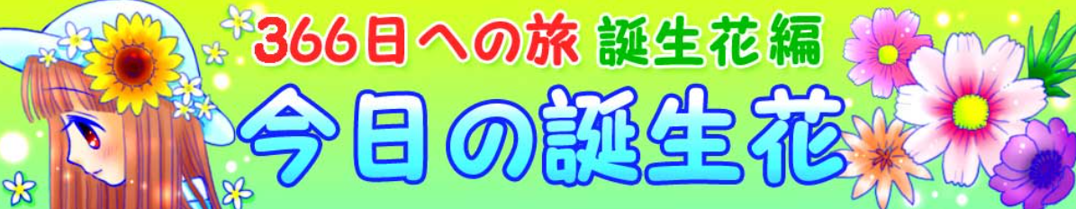 为什么日本有看女孩子贴贴的 百合の日 知乎