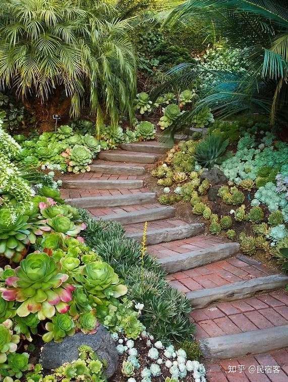 种满多肉的小院 原来比花园还美 知乎