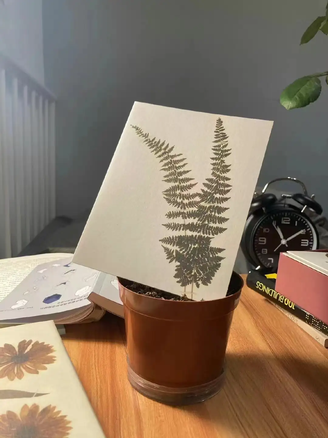 《不能承受的生命之轻》