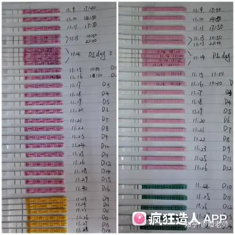 快来看（怀孕棒整蛊）验孕棒整蛊图 第2张