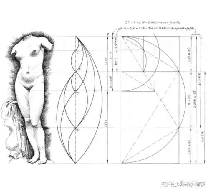 死亡之花和生命之花的区别(图25)