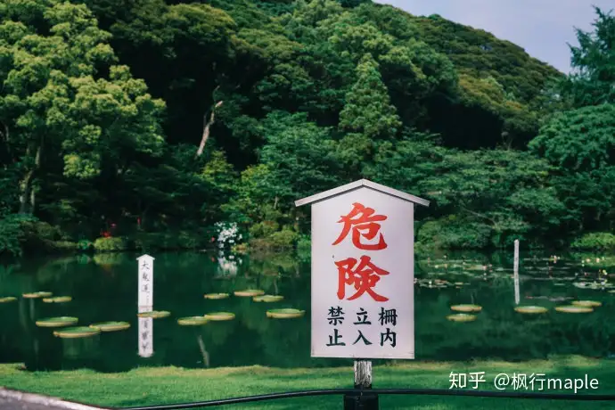 由布院】温泉、甜品、风景，才是日式乡村度假的正确打开方式- 知乎