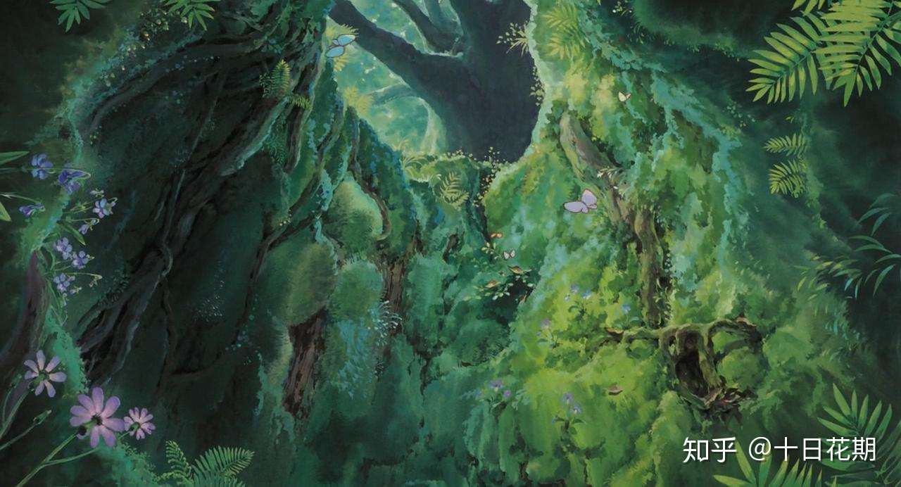 听说 龙猫 终于要在中国院线公映了 一起去更大的荧幕寻宝花草吧 知乎