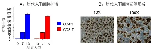 技术资料图片3