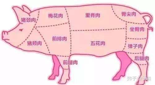 买猪肉 一张图教你辨别不同猪肉 以后去菜市场不怕被骗 知乎