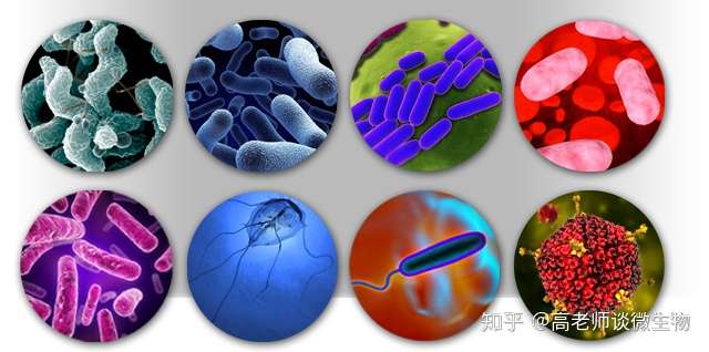 感染后对个体或者群体的危害程度,将病原微生物分为四类: 第