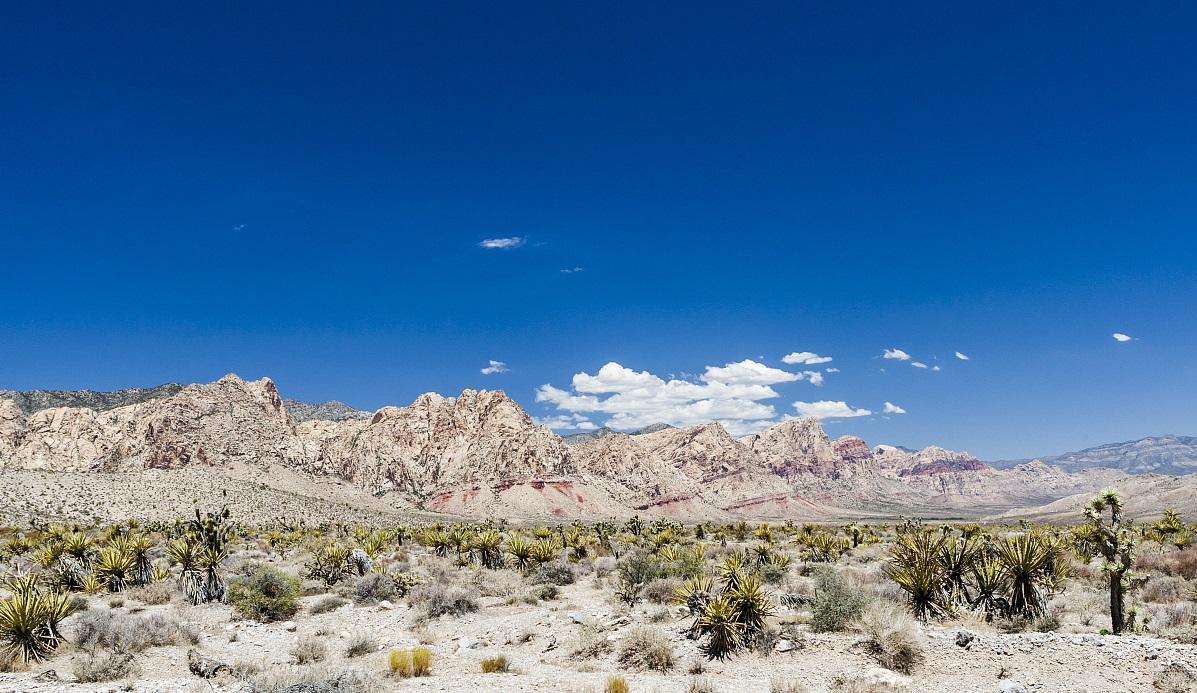 世界上最严重的十大核泄漏事故 每一幕都触目惊心 知乎