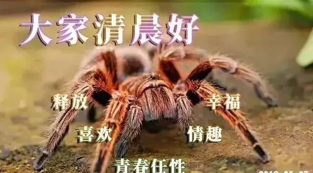 早晨好问候语录暖心句子送给你，清晨慰问朋友的早上好祝福句子（早上问候朋友的祝福语）