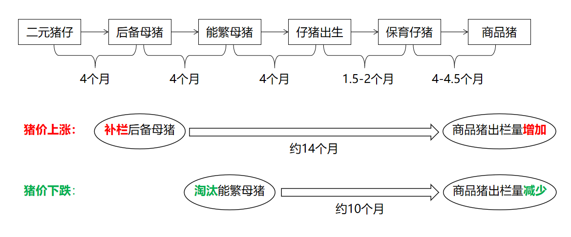 如何系统地学习股票投资并实现稳定盈利?