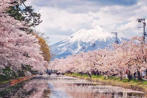 日本 苹果之城 日本青森带你玩转苹果不同玩法 知乎