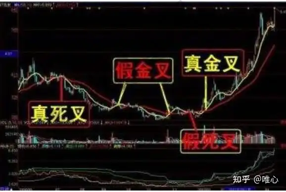 合约交易新手入门怎么玩？ - 小轻秀场