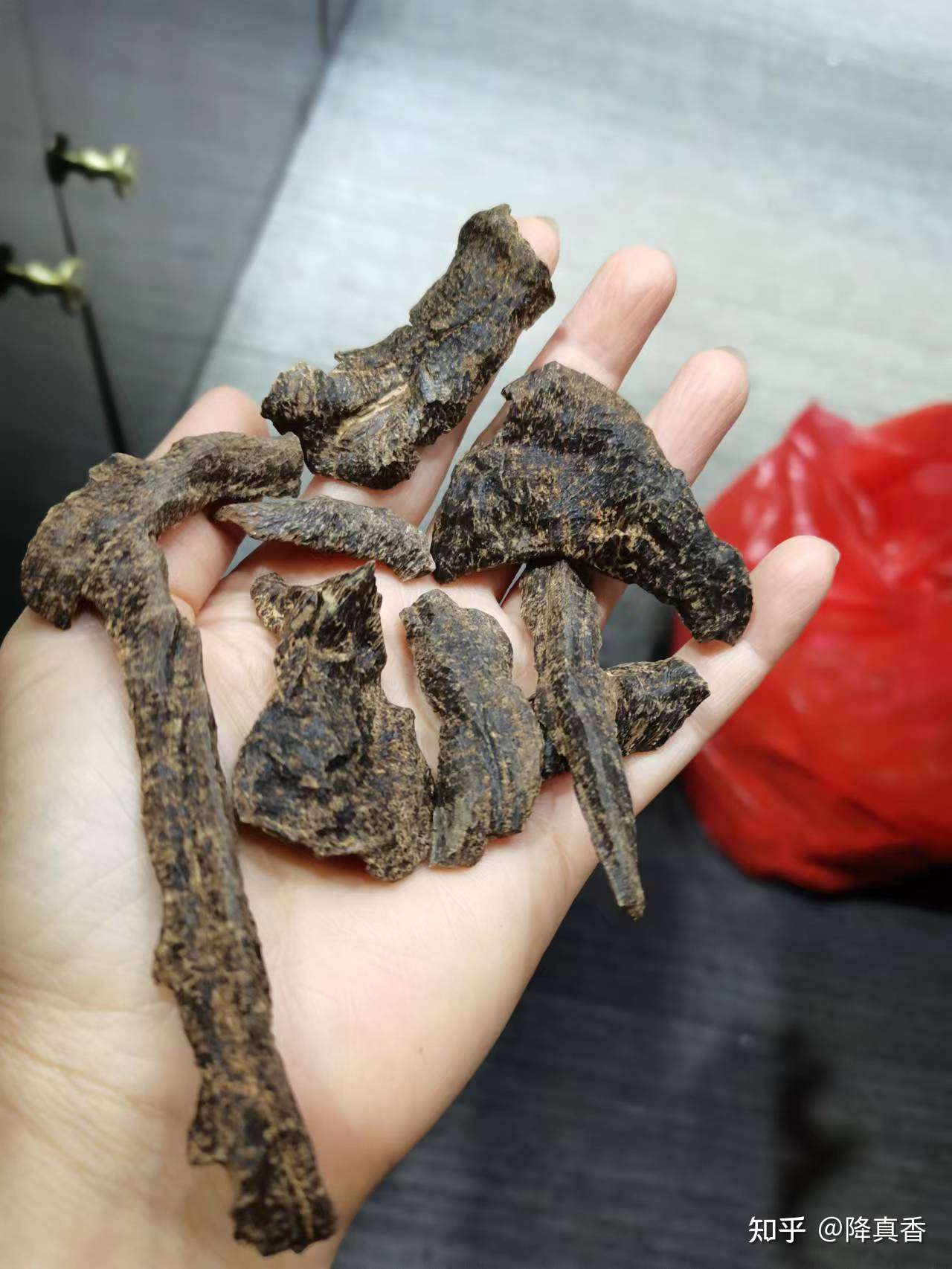 降真香 的想法: 海南野生虫漏沉香20克 沉水厚黑 #沉香# #… - 知乎