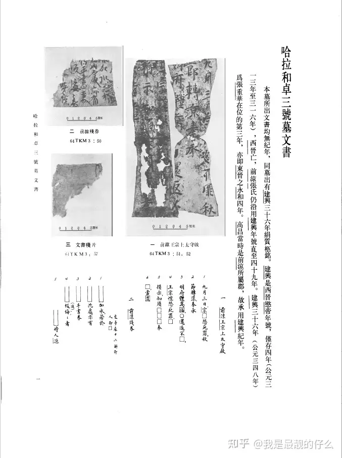 中國文物研究所新疆維吾爾自治區博物館武漢大學歷史系吐魯者番出土文書 