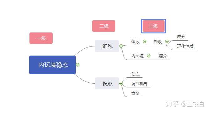 内环境知识点思维导图图片