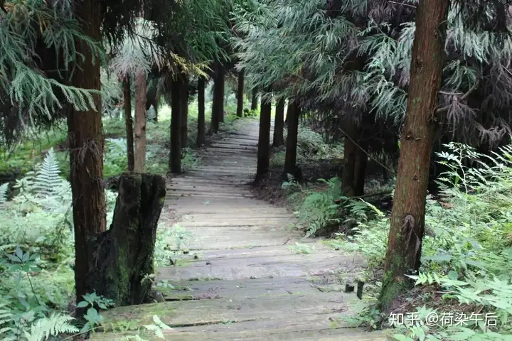 神瀑沟回顾|暑假纳凉耍水好去处