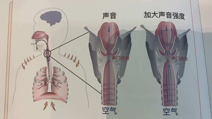 怎樣大聲唱出來